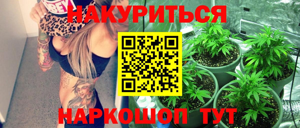 Каннабис сатива  Вход с VPN  Марихуана индика  Карачаевск  Каннабис семена 